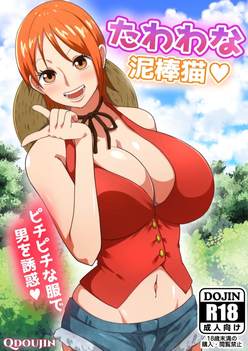 แมวขโมย A Busty Thief (One Piece) 