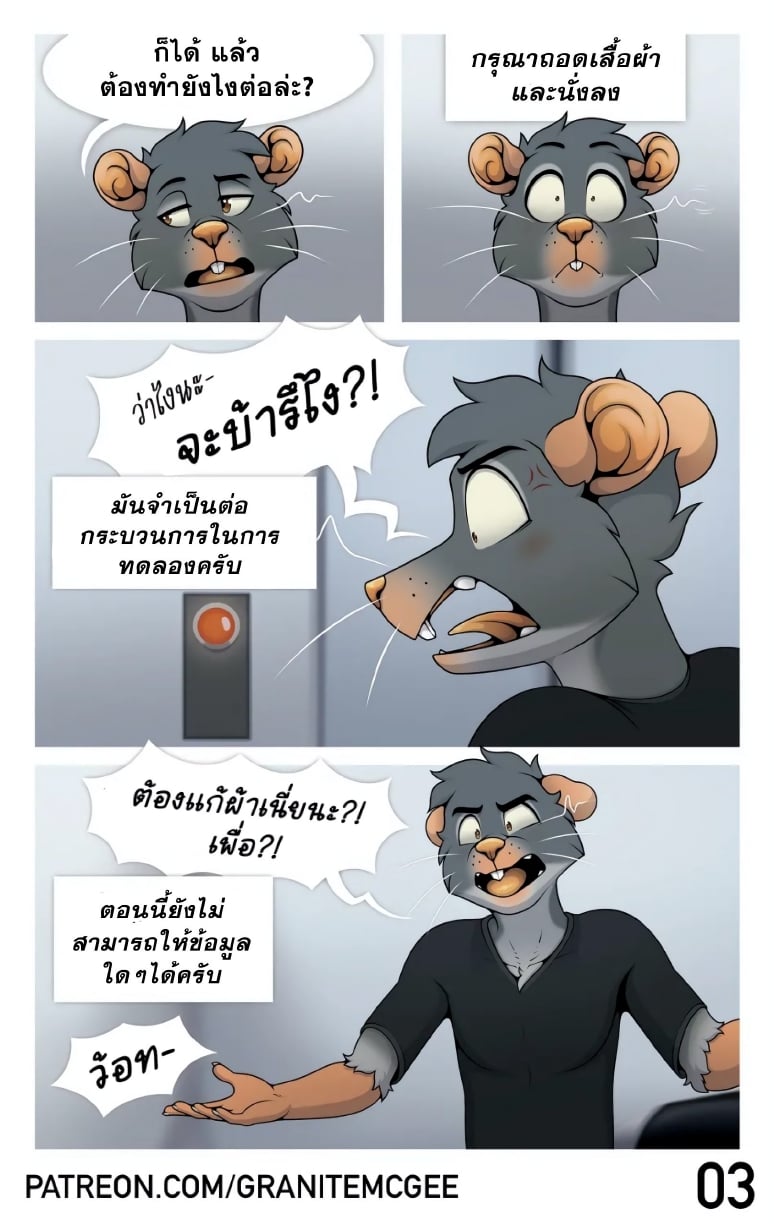 หนูทดลอง Lab Rat