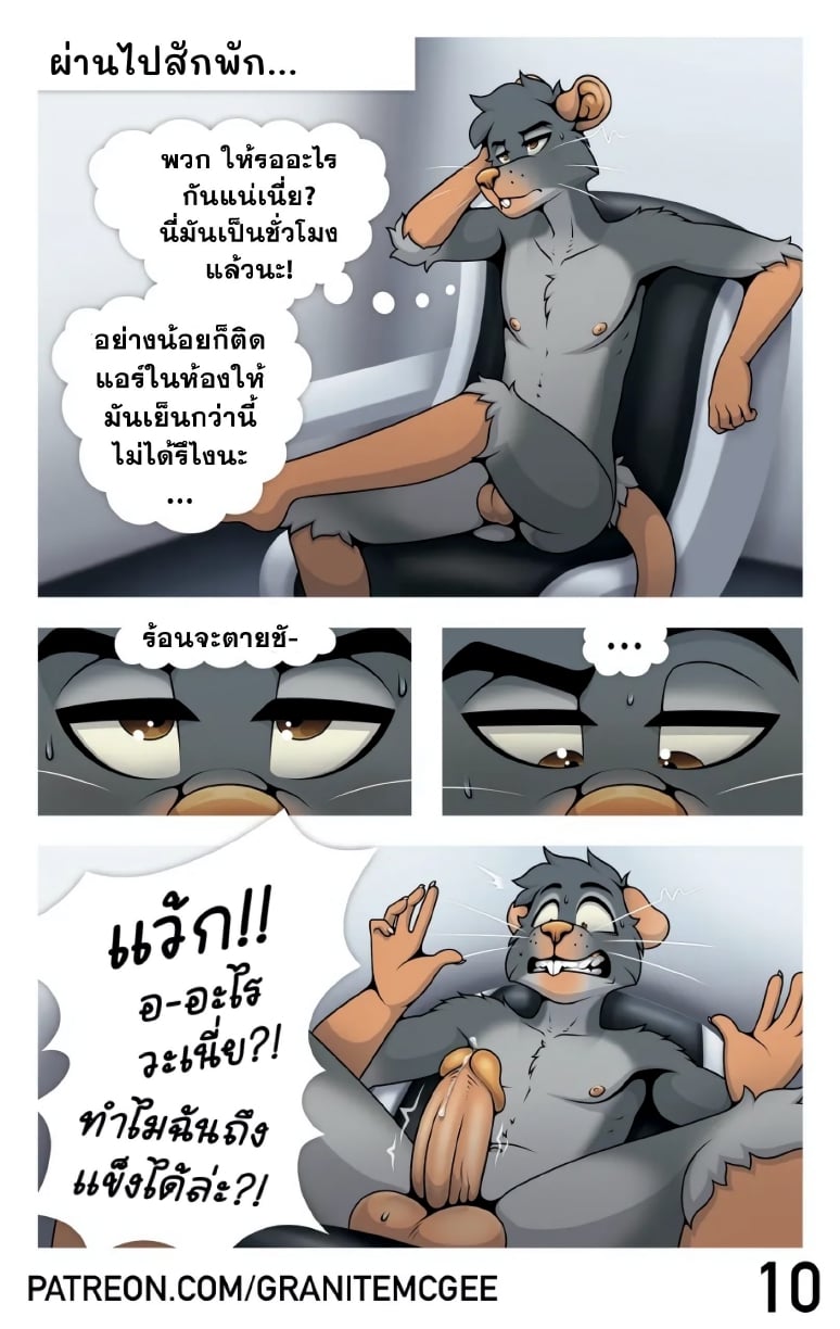 หนูทดลอง Lab Rat