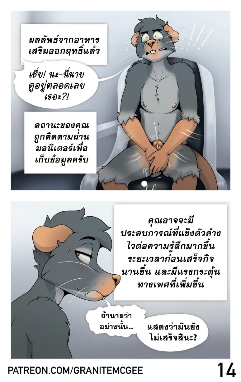 หนูทดลอง Lab Rat