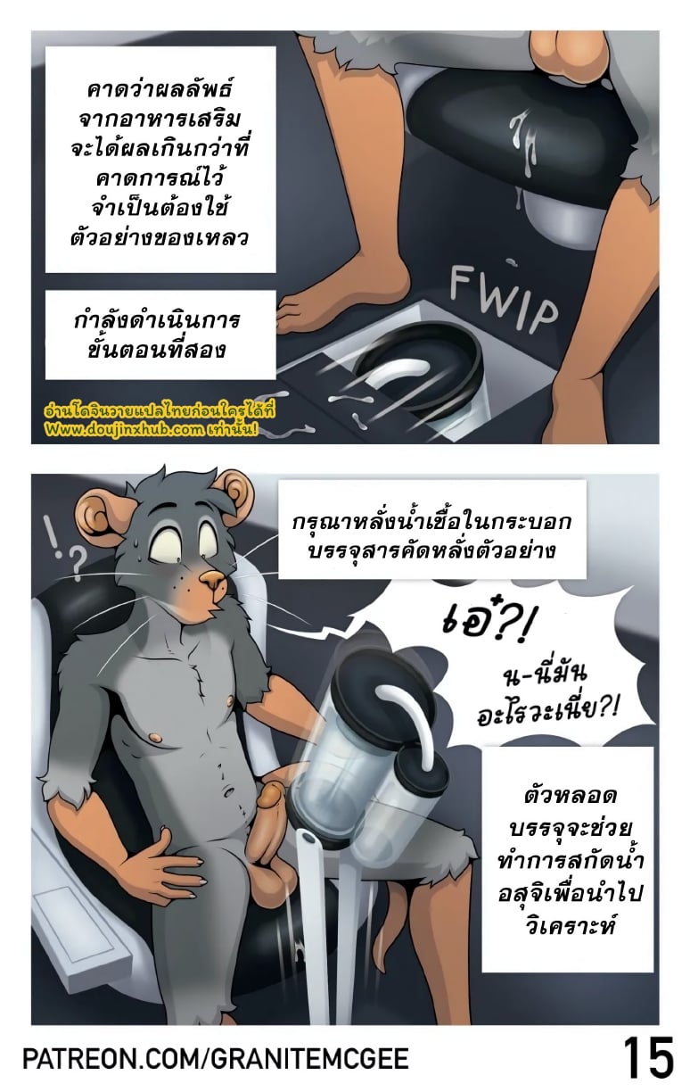 หนูทดลอง Lab Rat